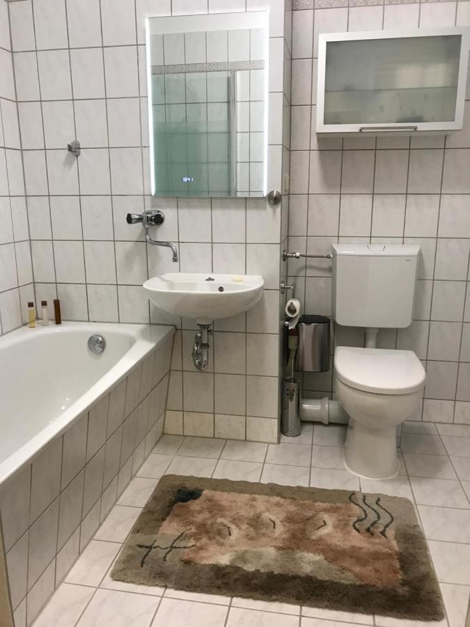 Zentrumsnahe Leipzig-Apartments, Nahe Ufz Und Bmw Inkl Parkplatz Und Fahrraeder Экстерьер фото