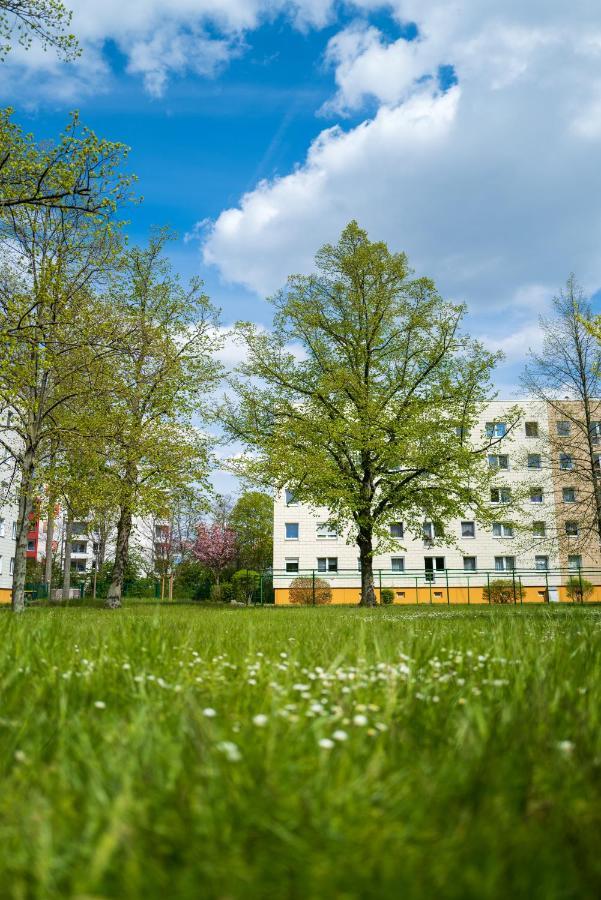 Zentrumsnahe Leipzig-Apartments, Nahe Ufz Und Bmw Inkl Parkplatz Und Fahrraeder Экстерьер фото